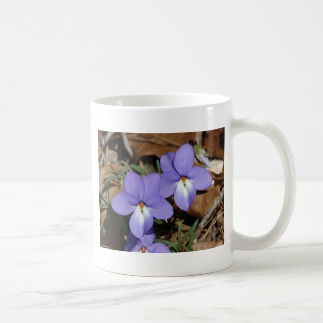 Wildblumen Vögel-Foot Violet III Geschenke und Bek Kaffeetasse (Rechts)