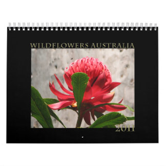 Wildblumen von Australien Kalender