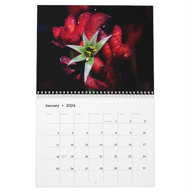 Wildblumen von Australien Kalender (Jan 2026)