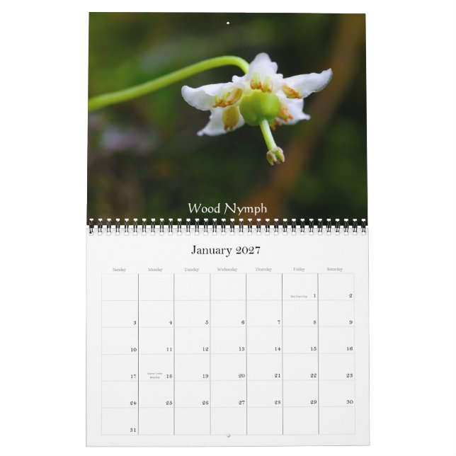 Wildblumen von Butte mit Haube Kalender (Jan 2027)