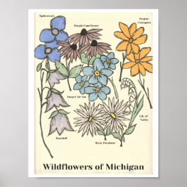 Wildblumen von Michigan Handgezeichneter Kunstdruc Poster