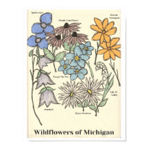 Wildblumen von Michigan Kunsthandwerk Print