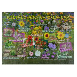 Wildblumen von Oklahoma-Poster20 Schnittbrett Schneidebrett
