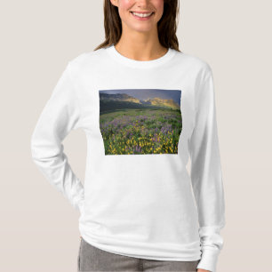 Wildblumen von Präirie füllen Wiese nahe See T-Shirt