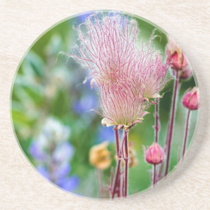 Wildblumen von Rauch in Aspen Grove 2 Getränkeuntersetzer