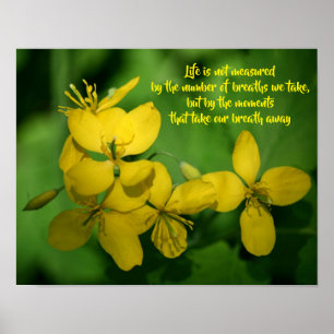 Wildblumen zum Thema Inspiration Poster