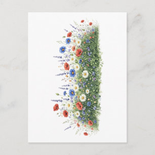 Wildblumenwiese botanischer Garten Blumen Postkarte