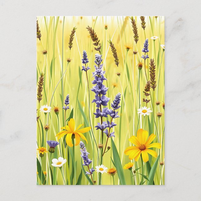 Wildblumenwiese Sommer Muster Postkarte (Vorderseite)