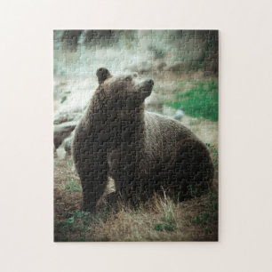 Wildbraun Grizzly Bärenwald Landschaft Aussicht Puzzle