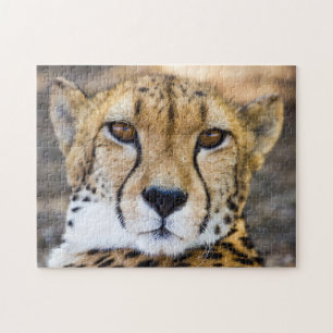 Wildcat Cheetah Leopard Wildlife Nature Puzzle