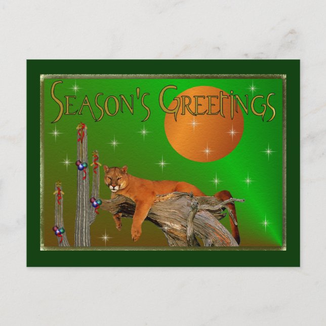 Wildcat Greetings Postkarte (Vorderseite)