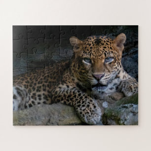 Wildcat Jaguar Animal Puzzle