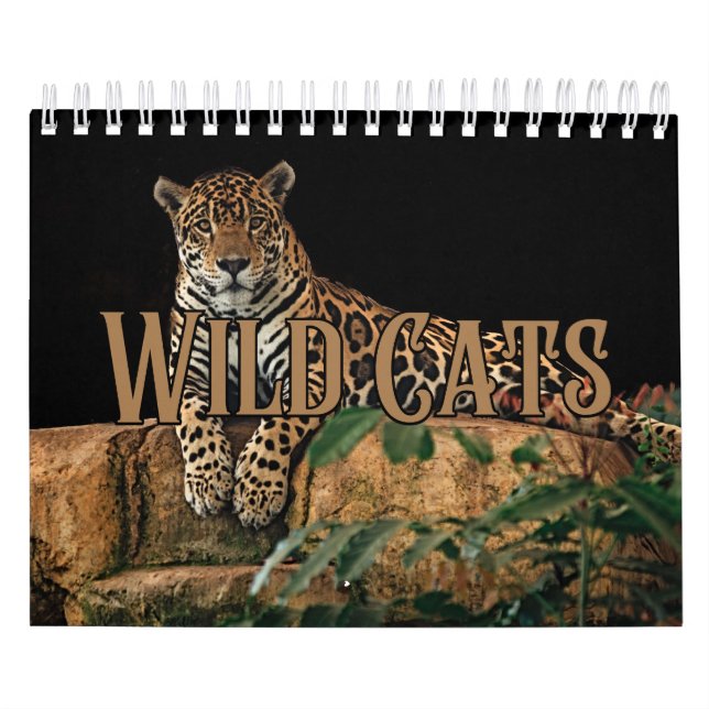 Wildcats Showcase Collection Wall Calendar Kalender (Titelbild)