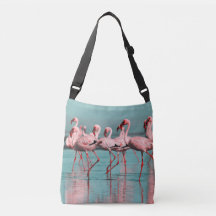 Wilde afrikanische Flamingos