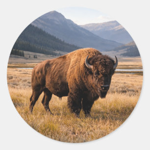 Wilde amerikanische Bisons Runder Aufkleber