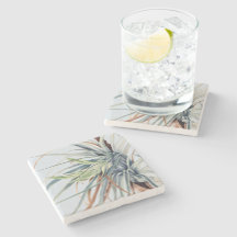 Wilde Ananas | von Mary Vaux Walcott 1921 Poster