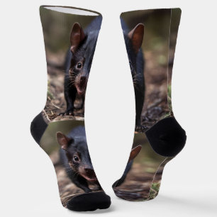 Wilde Anfänge: Der junge Tasmanische Teufel Socken