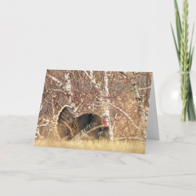 Wilde Anmerkungs-Karte der Türkei Tom Karte (Vorderseite)