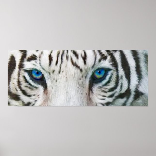 Wilde Augen - White Tiger Art Poster oder Print (Vorne)