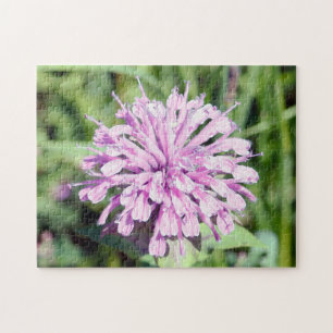 Wilde Beramotte - (Rote Monarda) Puzzle