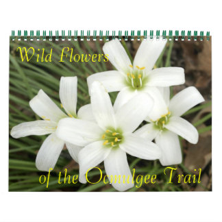 Wilde Blume, auf dem Ocmulgee Trail Kalender