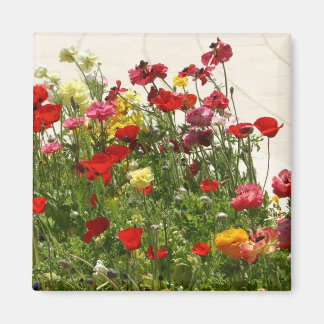 Wilde Blume auf grünem Feld Magnet