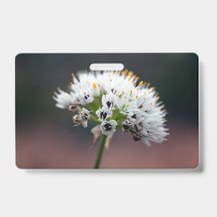 Wilde Blume Ausweis