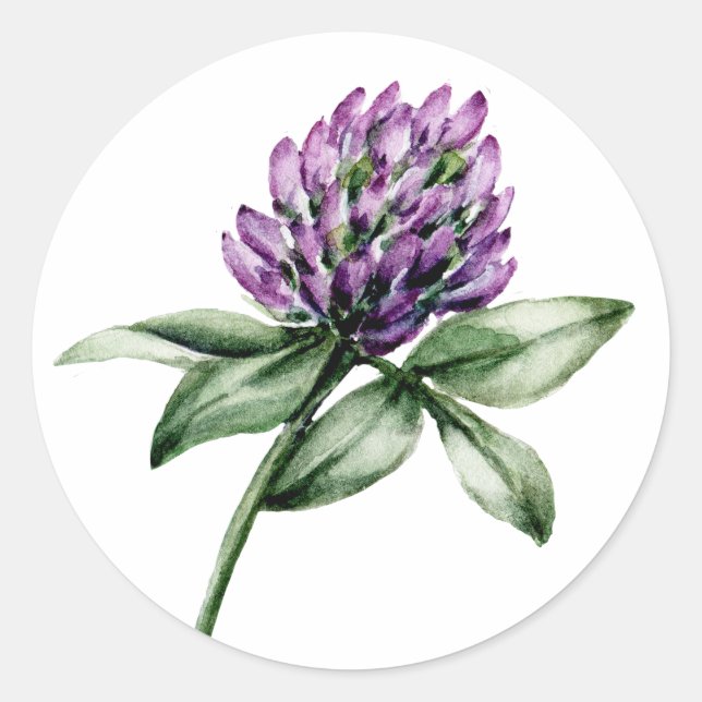 Wilde Blume Clover Lila Bud Runder Aufkleber (Vorderseite)