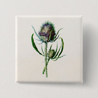 Wilde Blume der Vintagen alten schottischen Button