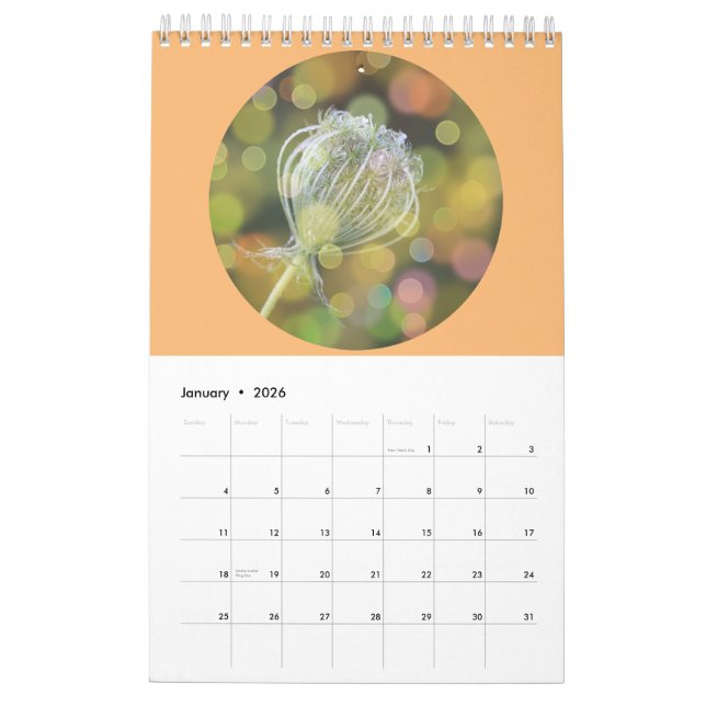 Wilde Blume Fotografie Kalender (Jan 2026)