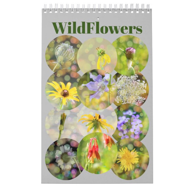 Wilde Blume Fotografie Kalender (Titelbild)