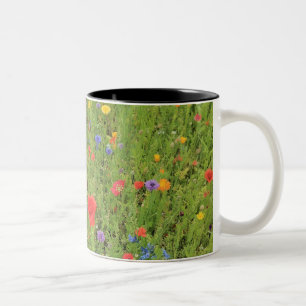 Wilde Blume Frühjahr Foto Zwei-Tonen-Tasse Zweifarbige Tasse