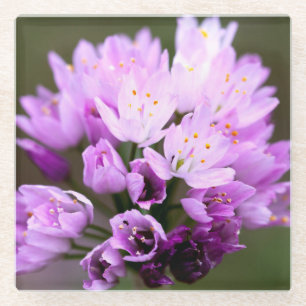 Wilde Blume Glasuntersetzer