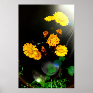 Wilde Blume im Sonnenschein Poster