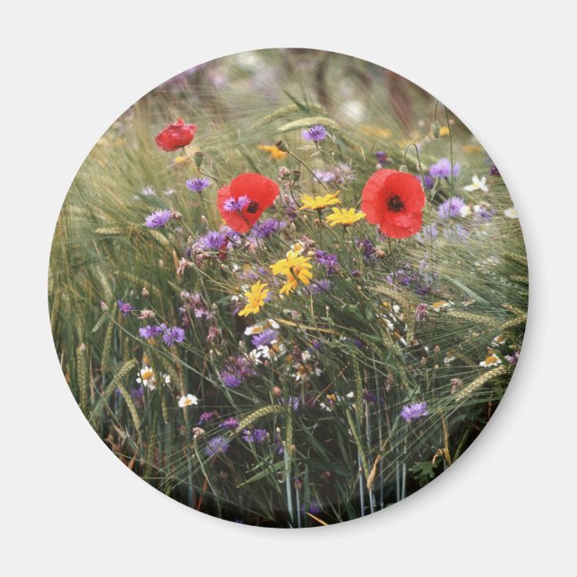 Wilde Blume Magnet (Vorne)