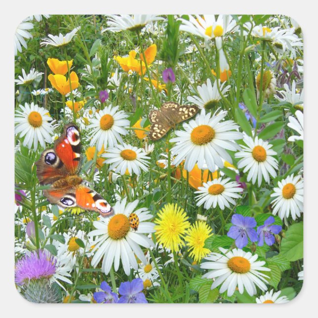 Wilde Blume Meadow Quadratischer Aufkleber (Vorderseite)