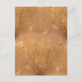 Wilde Blume mit Orange Glow Postkarte