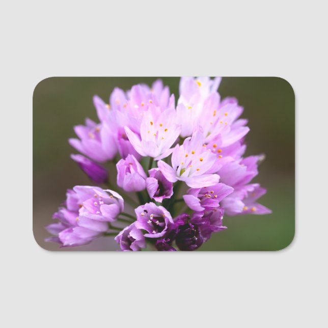 Wilde Blume Namensschild (Vorderseite)