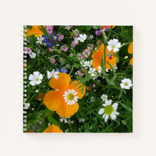 Wilde Blume: Orange White Pink Notebook Notizbuch