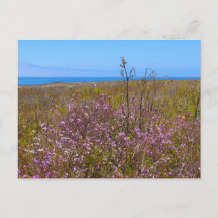 Wilde Blume Postkarte