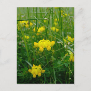 wilde Blume Postkarte
