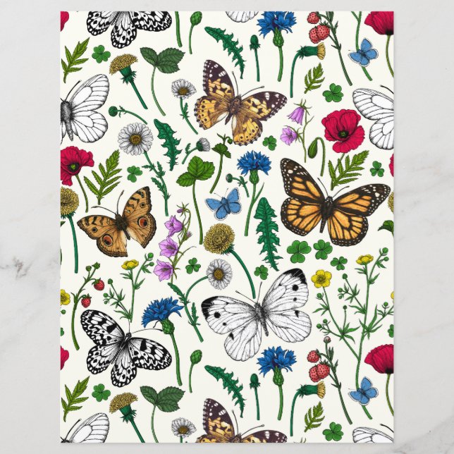Wilde Blume und Schmetterlinge auf Weiß (Vorderseite)