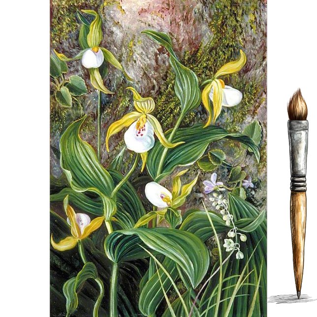 Wilde Blume von Simla, Indien, von Marianne North Seidenpapier (Von Creator hochgeladen)