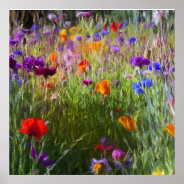 Wilde Blume Wiese, Cornblumen und Pflaumen Poster (Vorne)