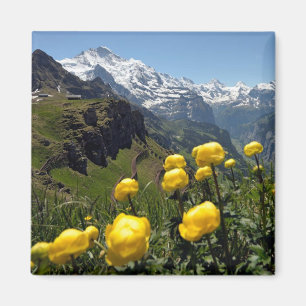Wilde Blumen Jungfrau Region Magnet