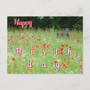 Wilde Blumen Mohn Bank Happy Birthday Postkarte