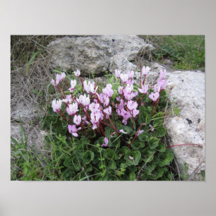 Wilde Blumen Poster