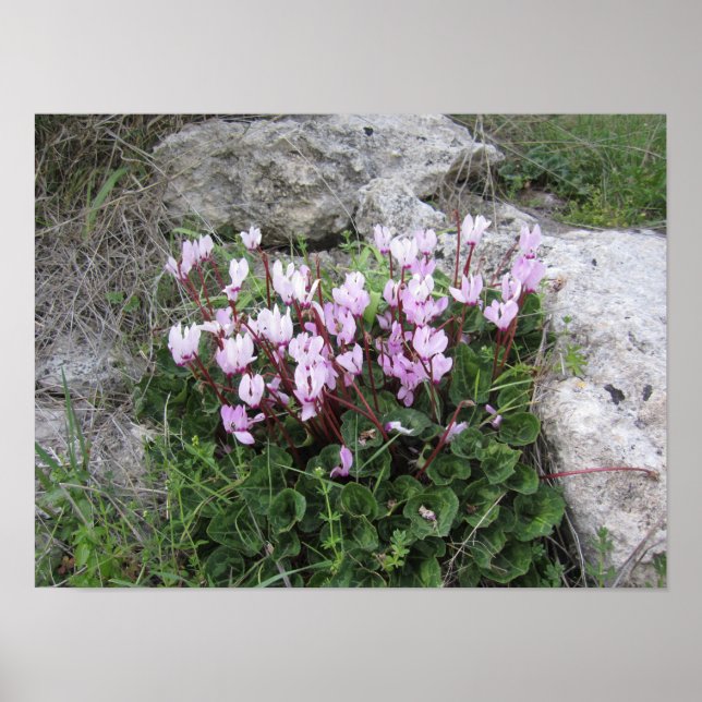 Wilde Blumen Poster (Vorne)