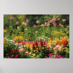 Wilde Blumen Poster
