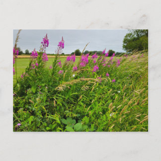 Wilde Blumen Postkarte